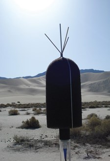 A microphone with a desert landscape in the background.