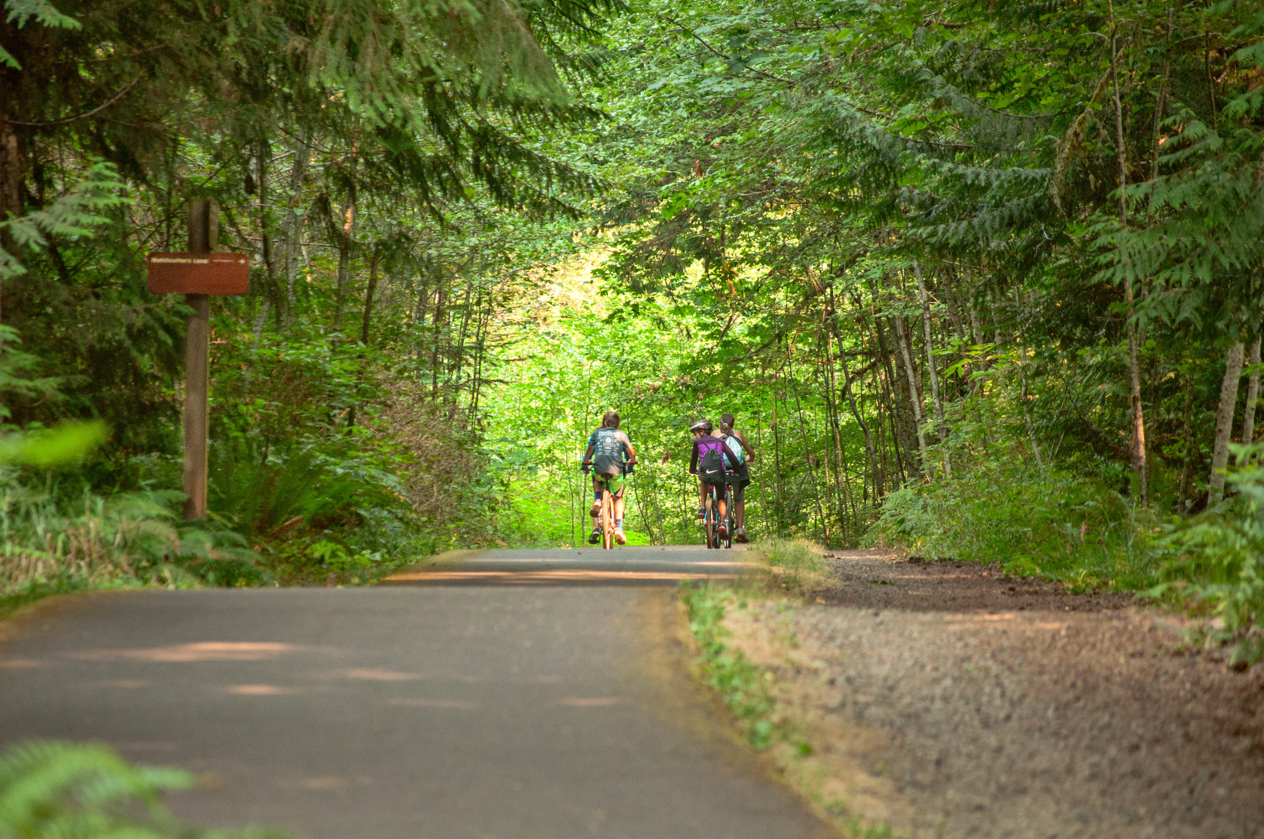 Three cyclists bike through a lush, green forested trail.