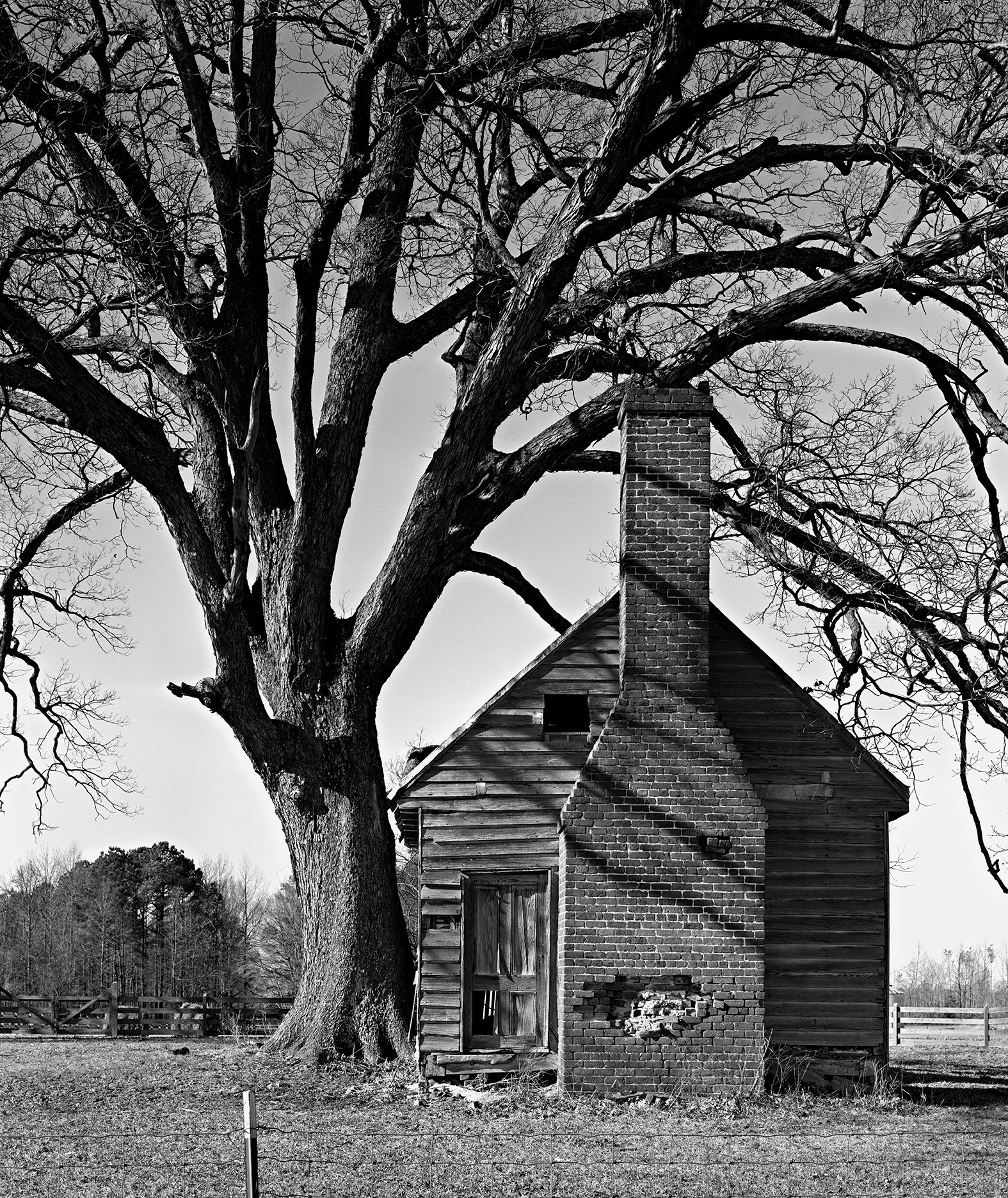 Black and white photo of a wooden cottage with a large tree in the yard.