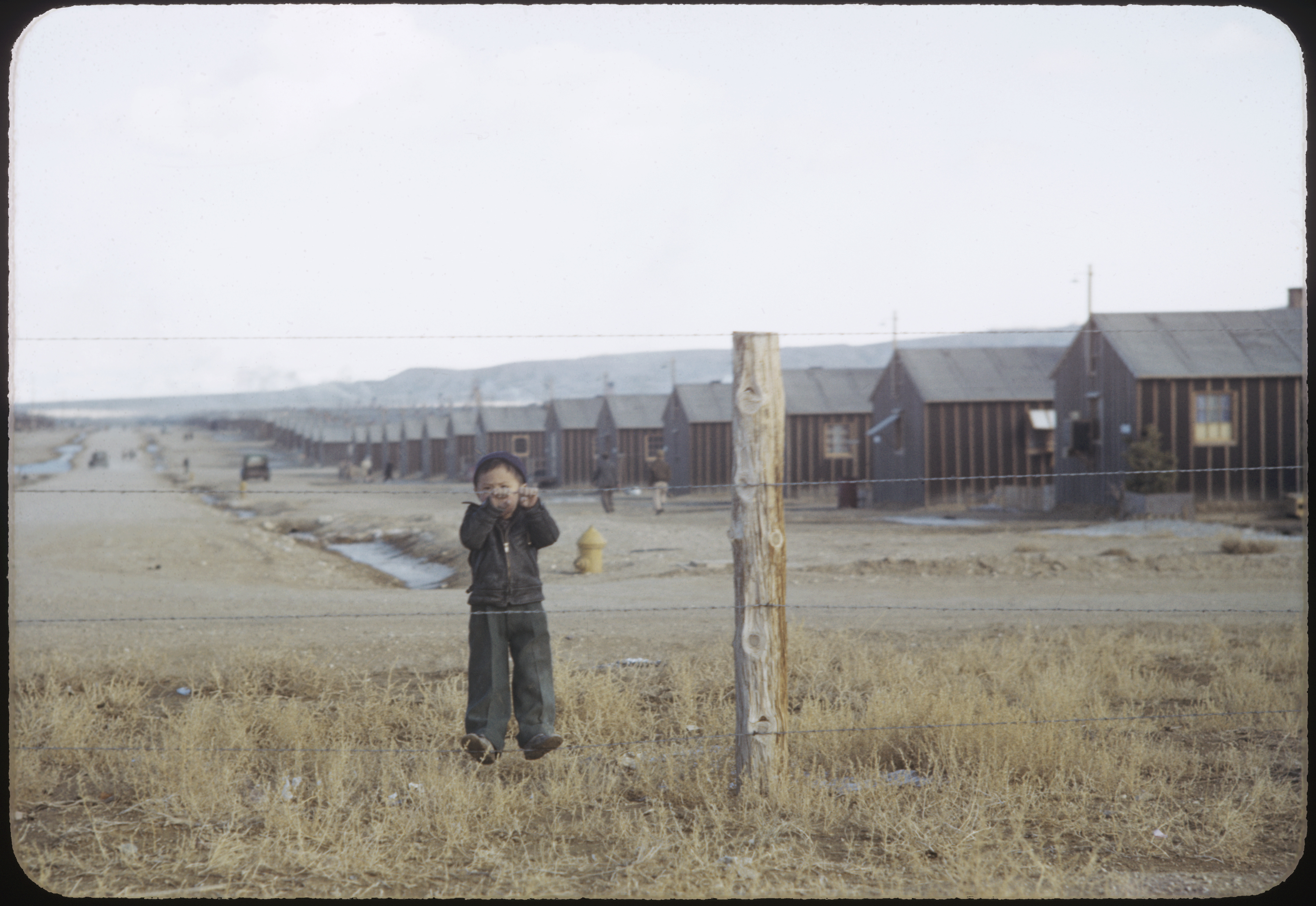 A boy clings to a barbed wire fence looking out from a Japanese American incarceration site