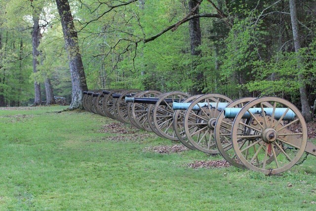 NRCA SHIL A line of cannons in a green field, backed by trees.