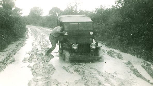 Everglades image 15206