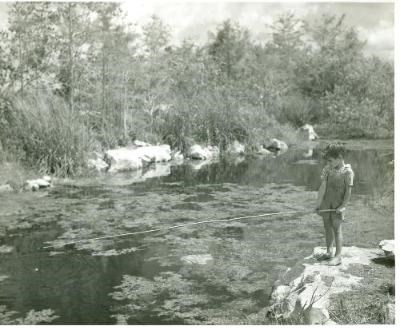 Young boy fishing in the park