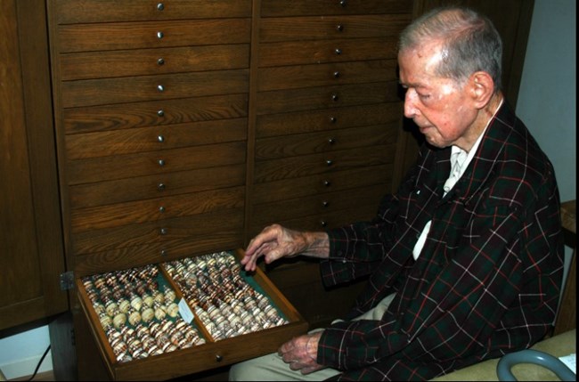 Archie Jones with snail shells in a drawer