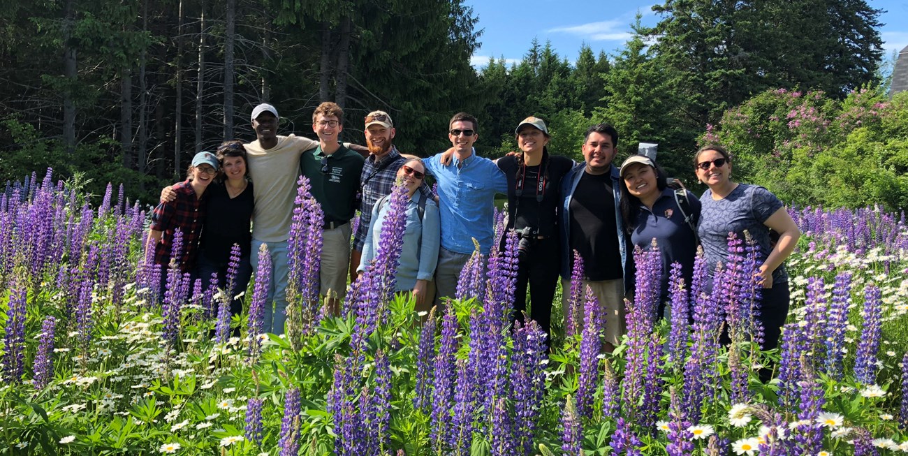 OCLP intern cohort with lupine A smiling group of young people stand in a row with arms over each other's shoulders, surrounded by lupine and daisies.