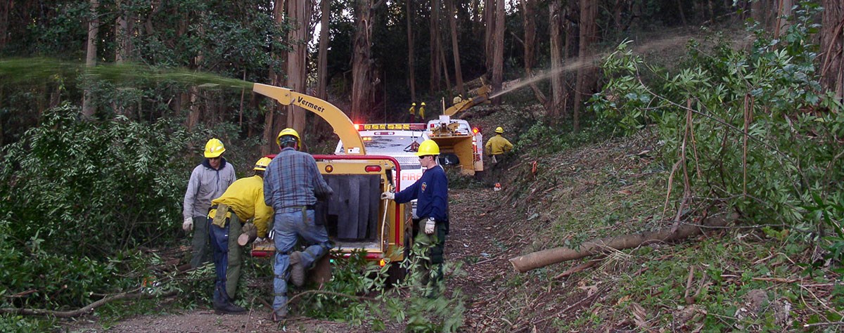 lt= Workers use a chipping machine for removing fuels from a wildfire area
