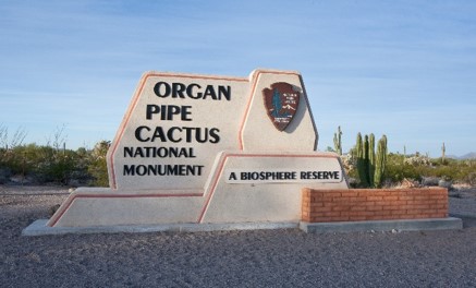 Birds - Organ Pipe Cactus National Monument (U.S. National Park Service)