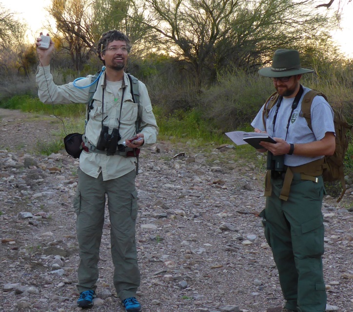 Wildlife biologists surveying for owl in a wash