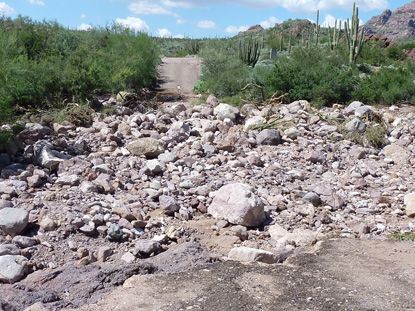 Wash at Estes Canyon flooding showing Ajo Mountain Drive