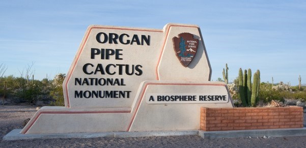 Fees Passes Organ Pipe Cactus National Monument U S National