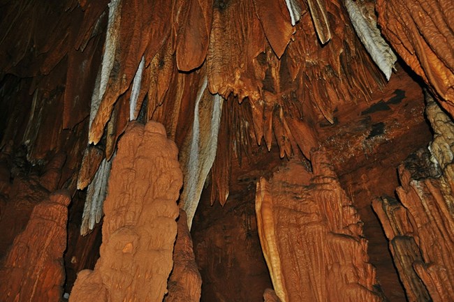 inside round spring cave, brown, black and white formations draping from ceiling and floor