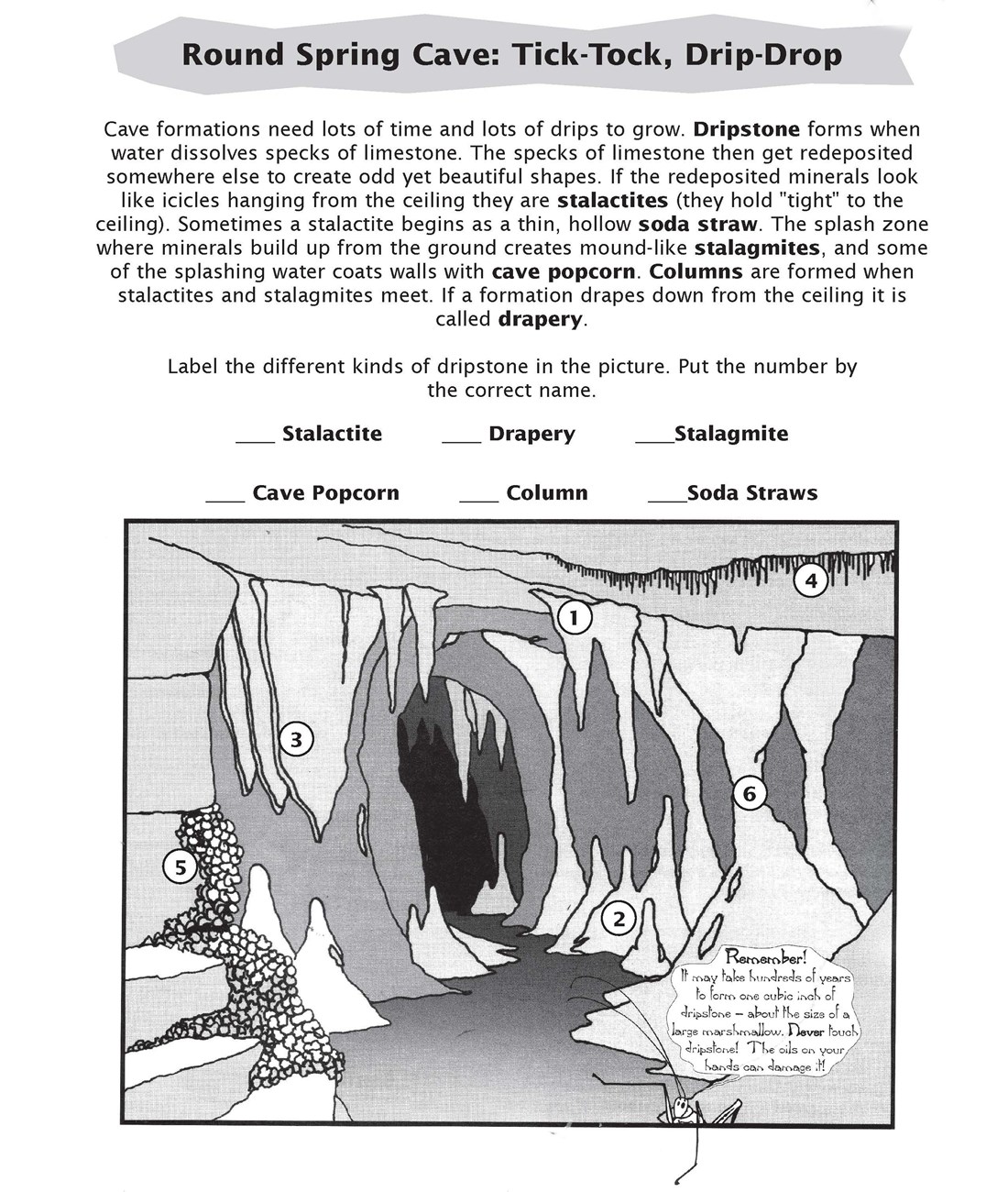 page from junior ranger book