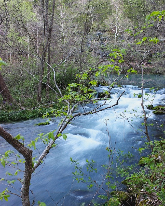 Alley Spring Branch during a good flow