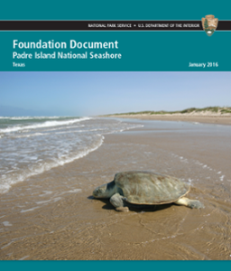 A document cover with a turtle on the beach