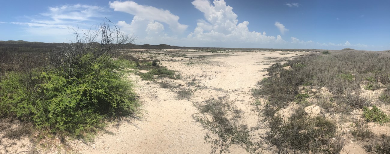 A barren dirt patch in an area of grasslands