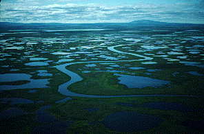 This is an image of Bering Land Bridge National Preserve