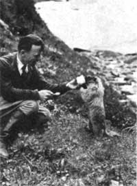 A Naturalist and His Pet Marmot