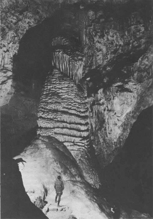 Carlsbad Caverns NP: Guidebook (1940)