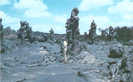lava tree molds