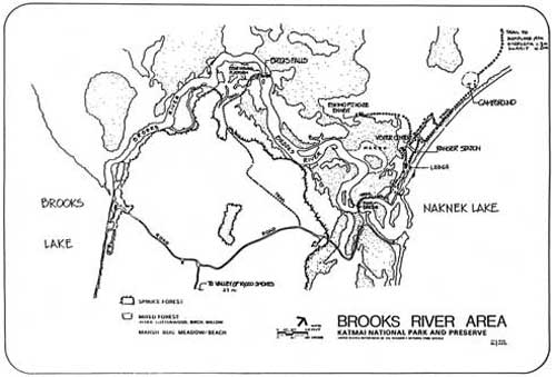 Brooks River area map