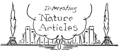 Interesting Nature Articles