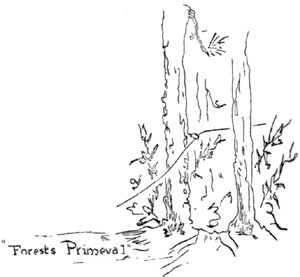 forests primeval