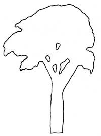 outline of elm tree