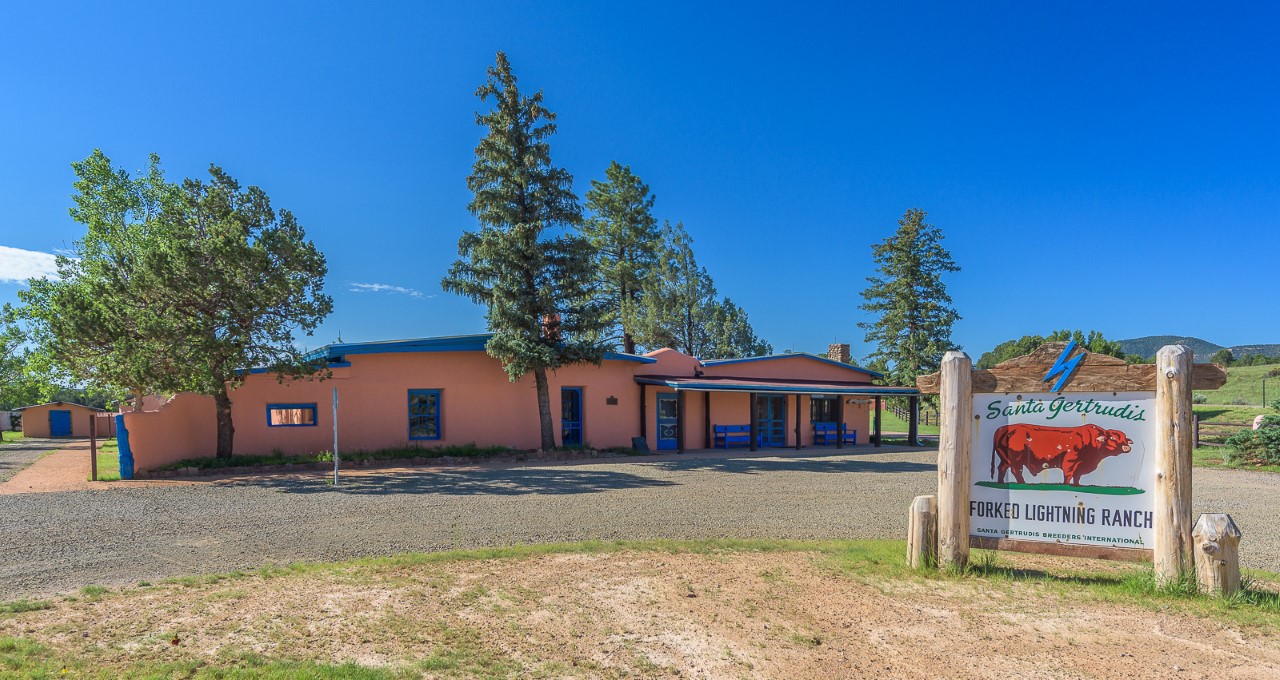 A pink building with blue trim with some pine trees around it, under a blue sky.