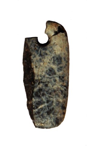 fossil bone pendant