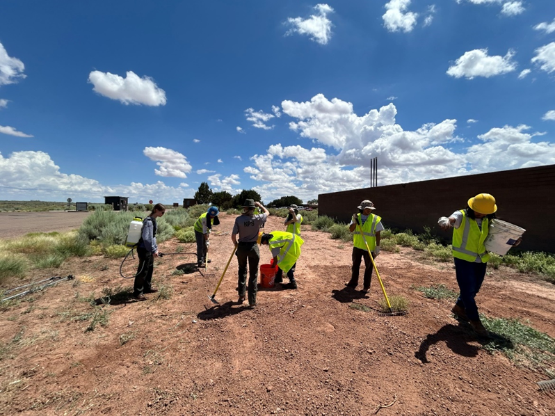 Weeding and planting seeds as part of a vegetation restoration project in the North Complex of the Petrified Forest NP.