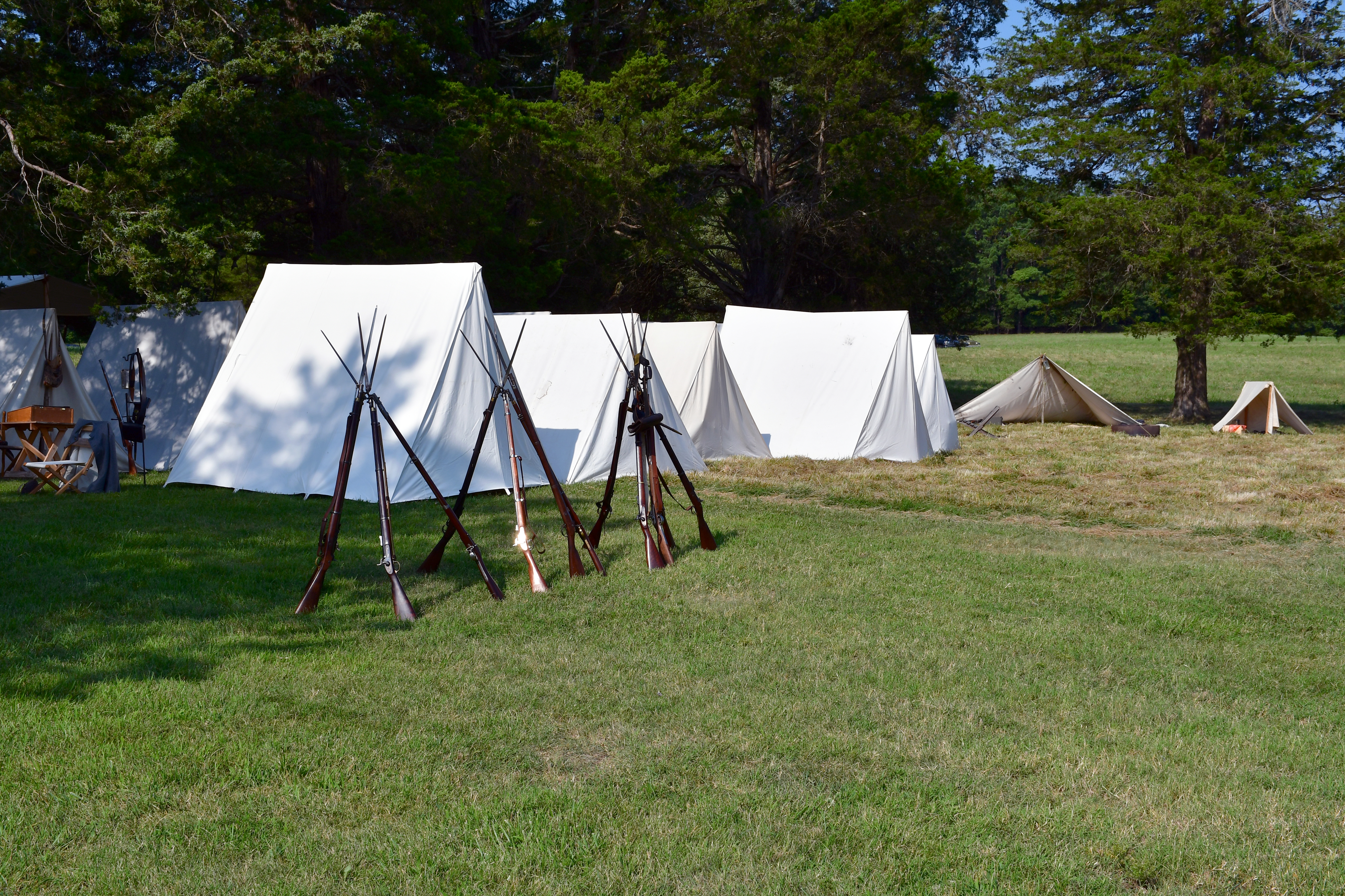 Staked muskets infront of a row of white canvas tents.
