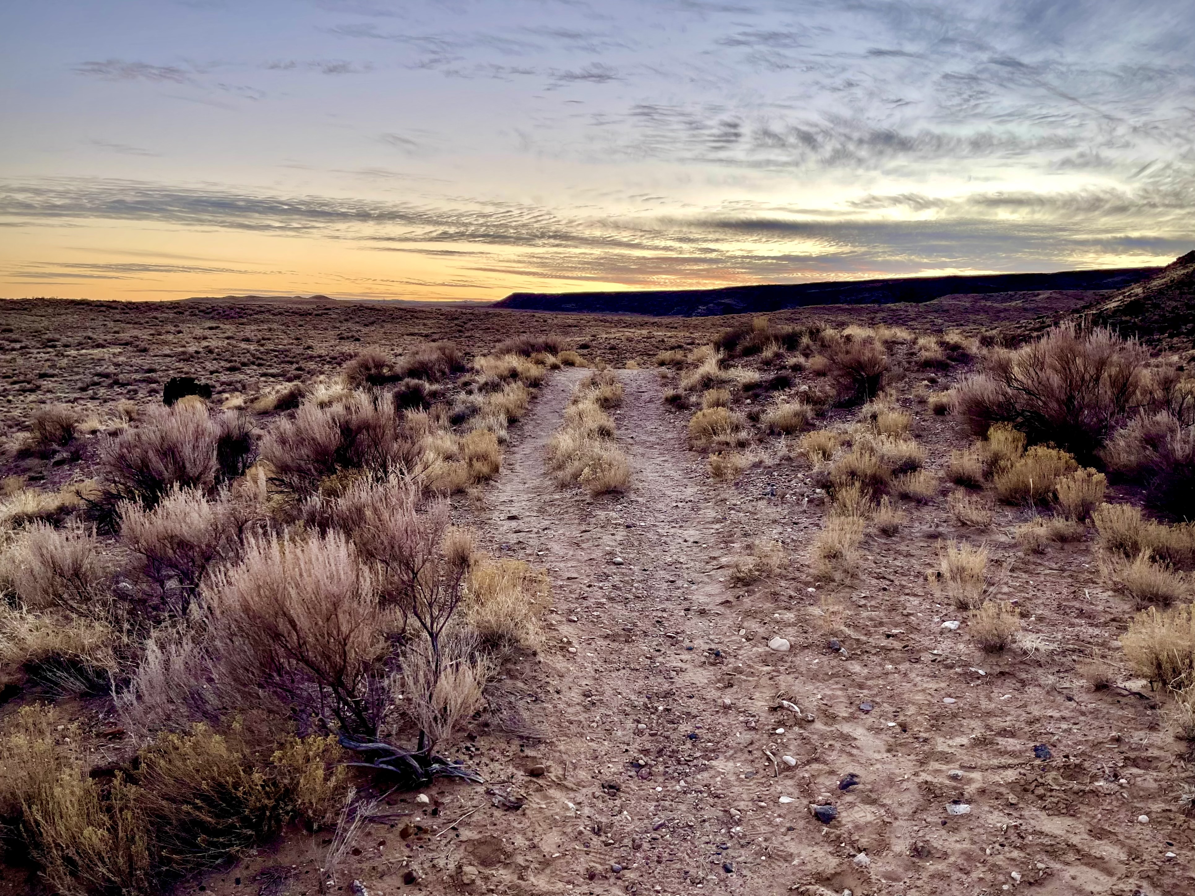 A desert trail during the golden hour.