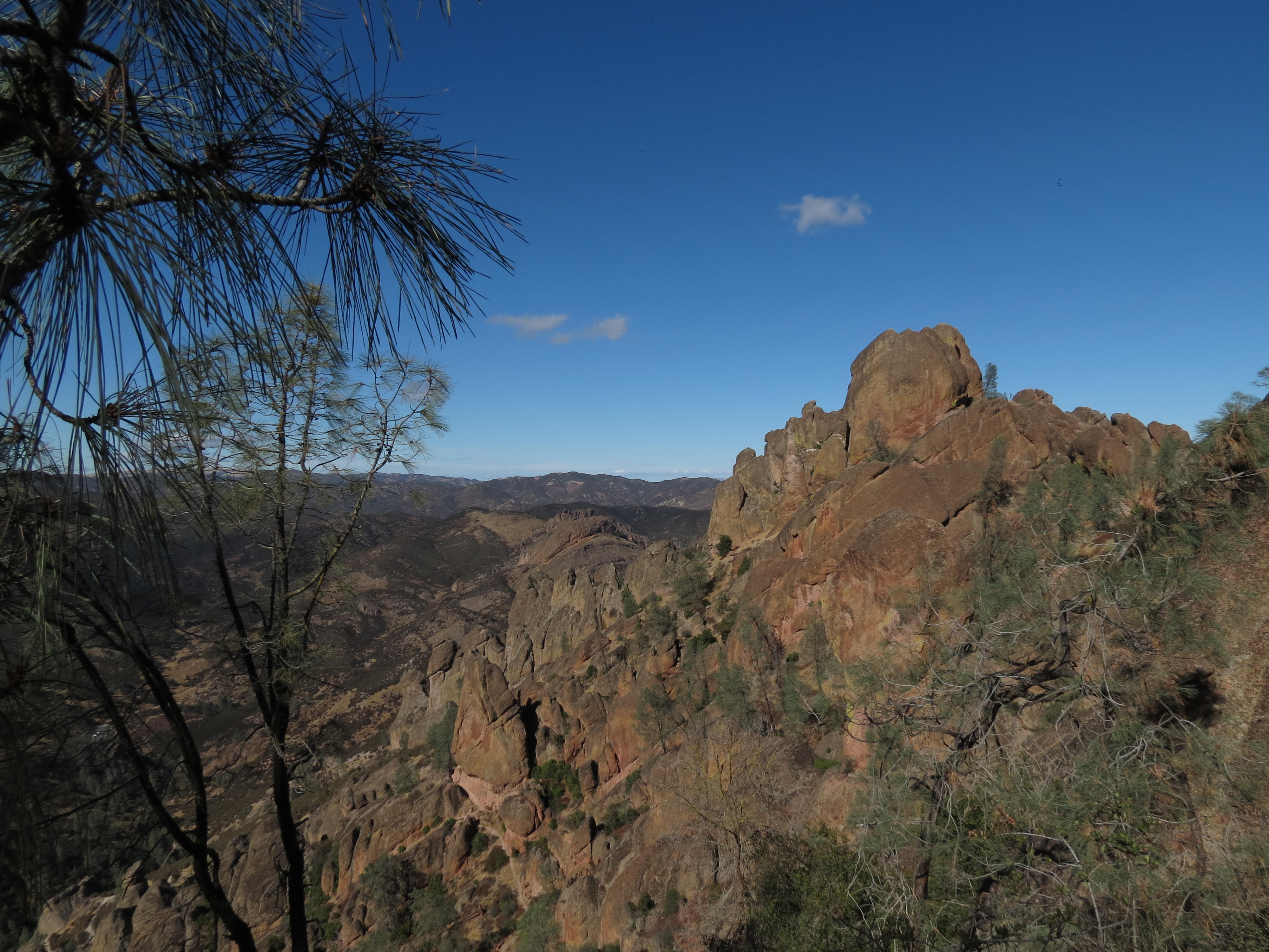 are dogs allowed in pinnacles national park