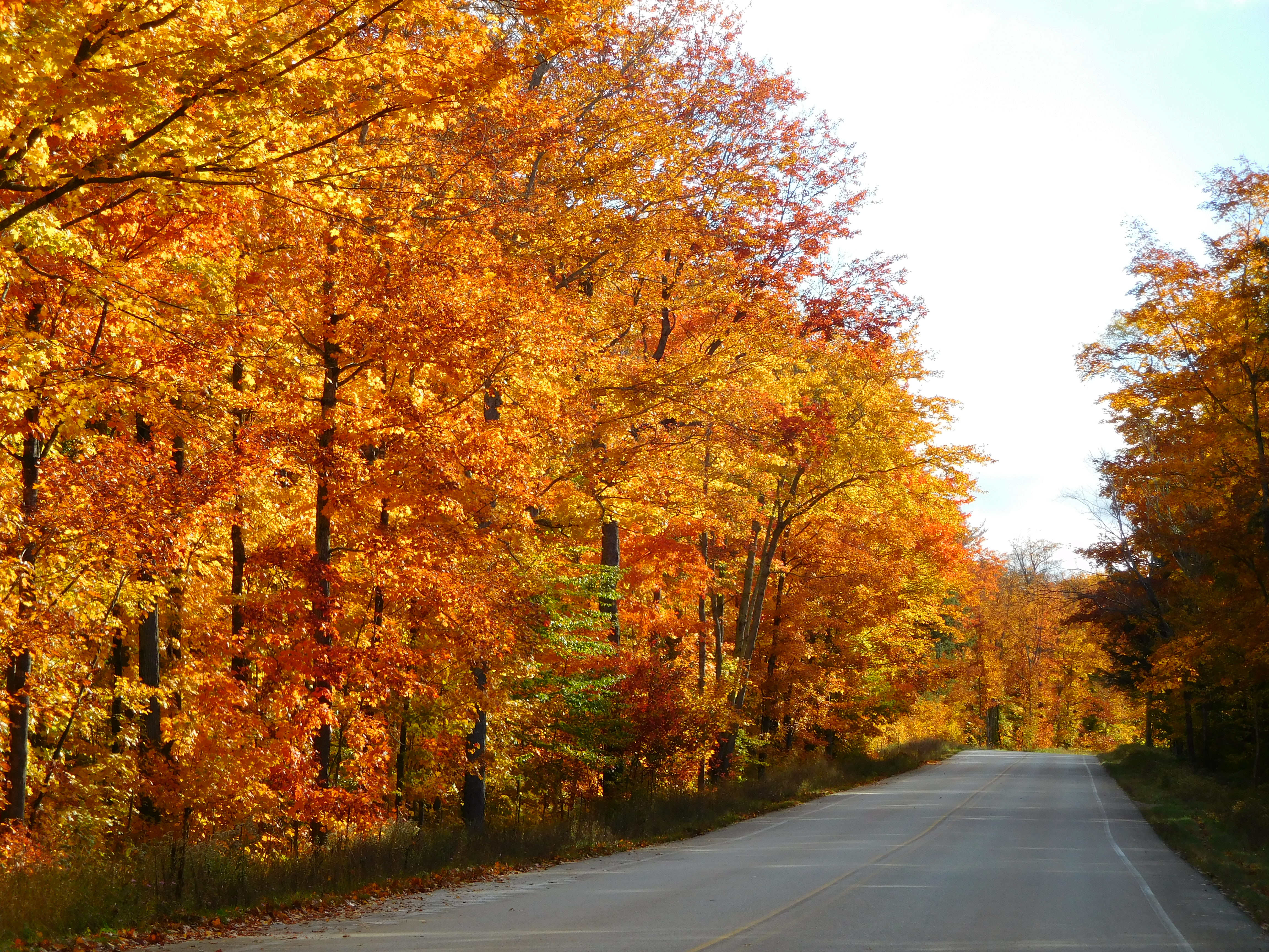 Hunting - Pictured Rocks National Lakeshore (U.S. National Park Service)