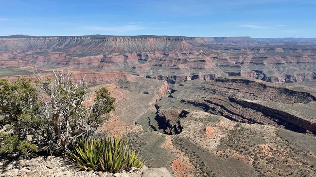 Clear view of the Grand Canyon from the Twin Point overlook.