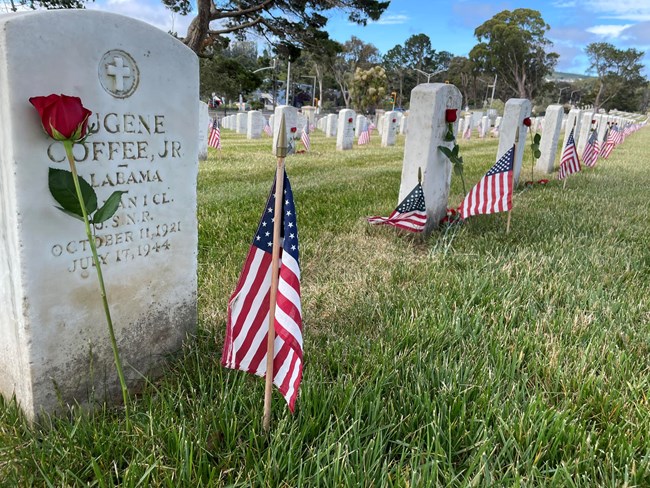 A group of gravestones, a couple of small American flags and a couple of roses.