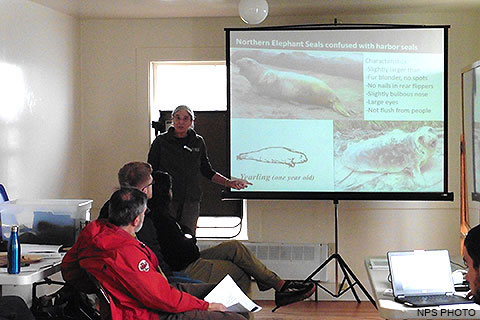 Volunteer: Internships - Point Reyes National Seashore (U.S. National Park  Service)