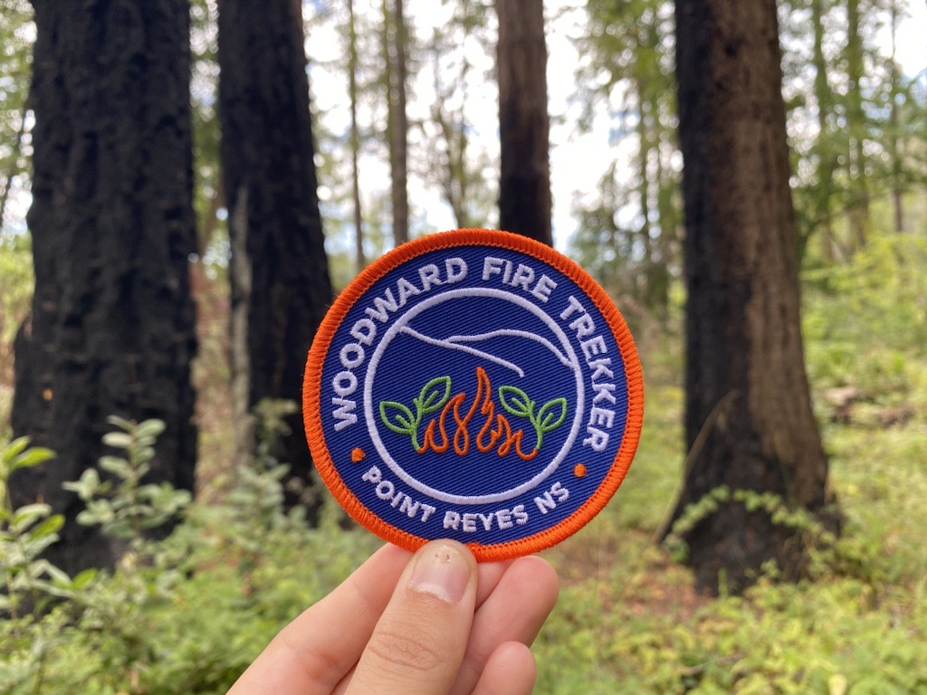 A hand holds up a blue and orange patch in front of burned tree trunks in a lush forest.