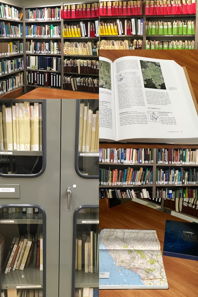 Collage of library books on shelves, research files, rare books cabinet, and books open on library study table.