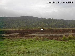 Manure Disposal Pasture after excavation of nutrient-rich soils.