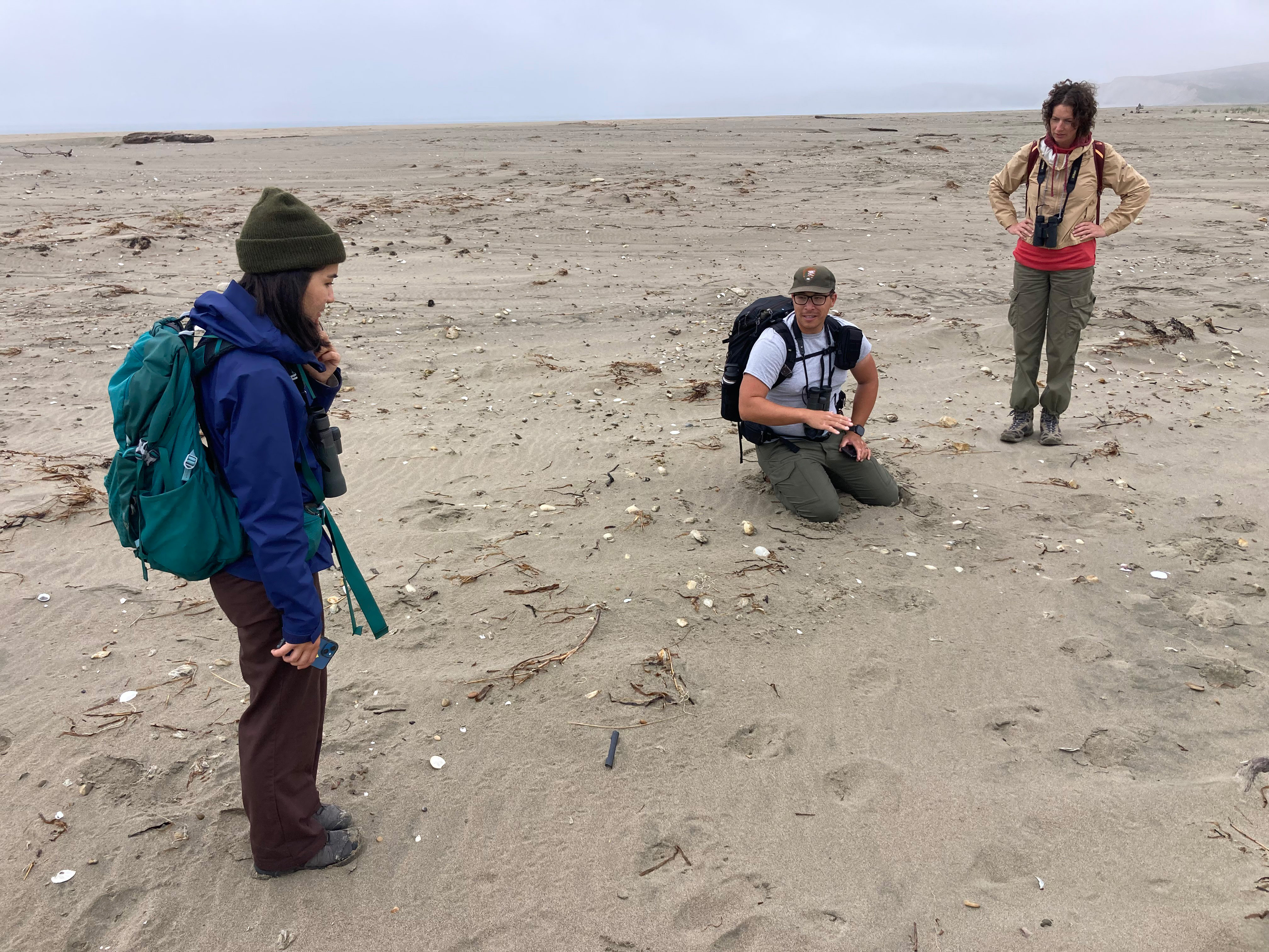 Two women and a man examining a snowy plover nest site on a sandy beach.