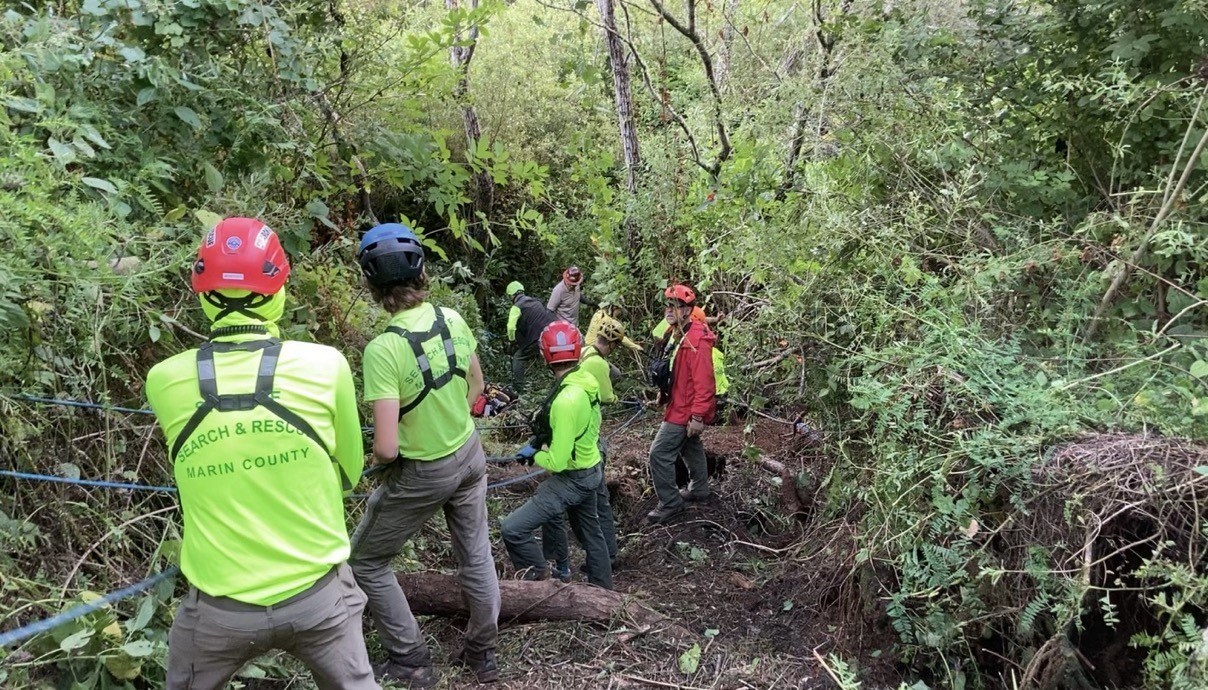 Rescuers in helmets and yellow shirts pull a rope while standing on a steep vegetated hillside