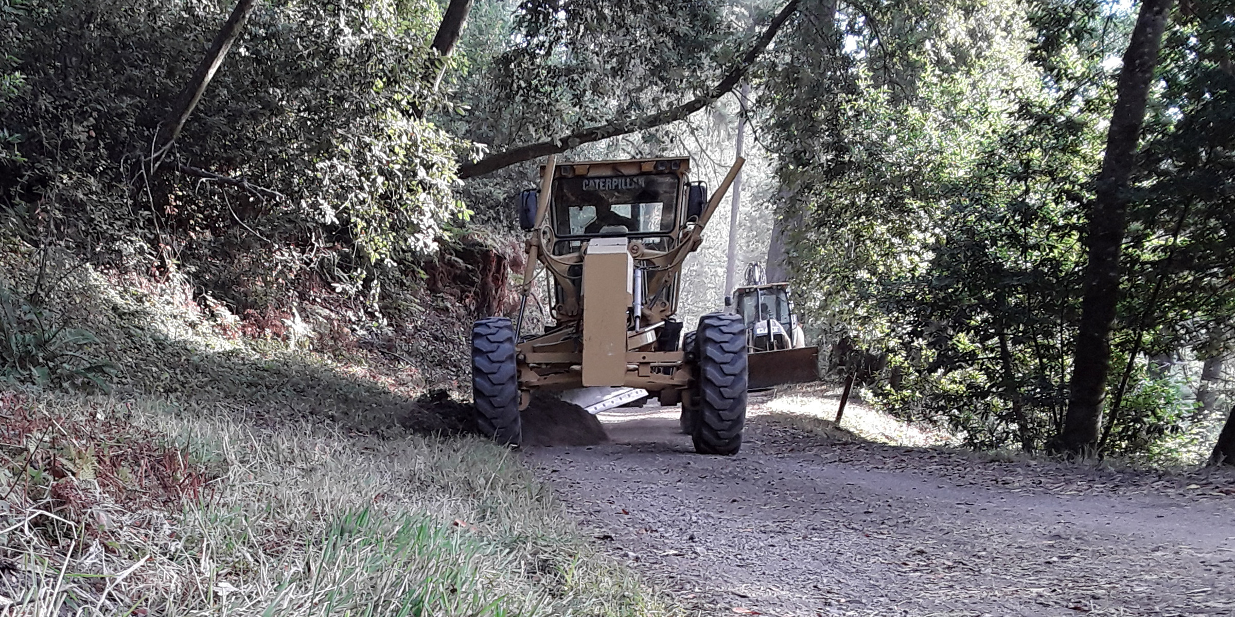 A yellow road grader on a dirt road in a forest.