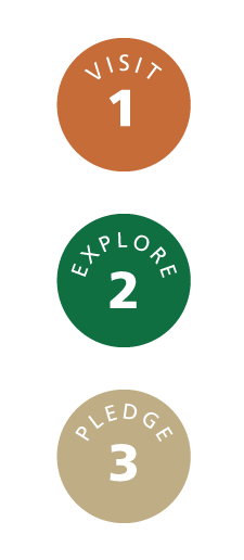 Junior-Ranger-123 graphic with 3 circles. 1-Visit. 2-Explore. 3-Pledge