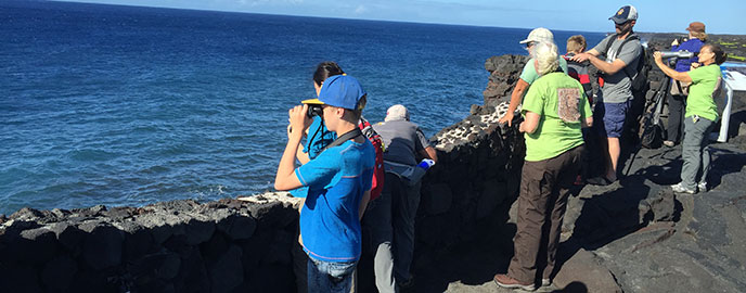 A group of visitors look through binoculars at the ocean