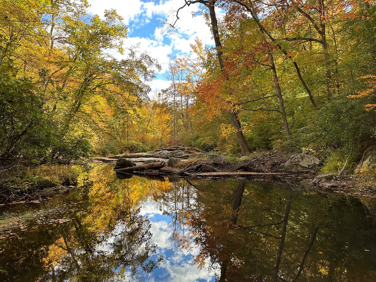 Orange and yellow trees in a fall forest reflect in a still pool of water in a creek