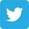 Twitter icon