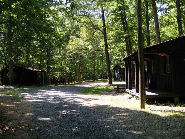 4 wooden cabins with porches along a gravel path in a green forest