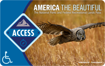 2023 Access Pass, blue with a photo of an owl flying over tan grass