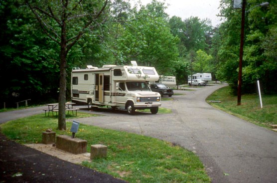RVs along a paved road in a campground in the forest